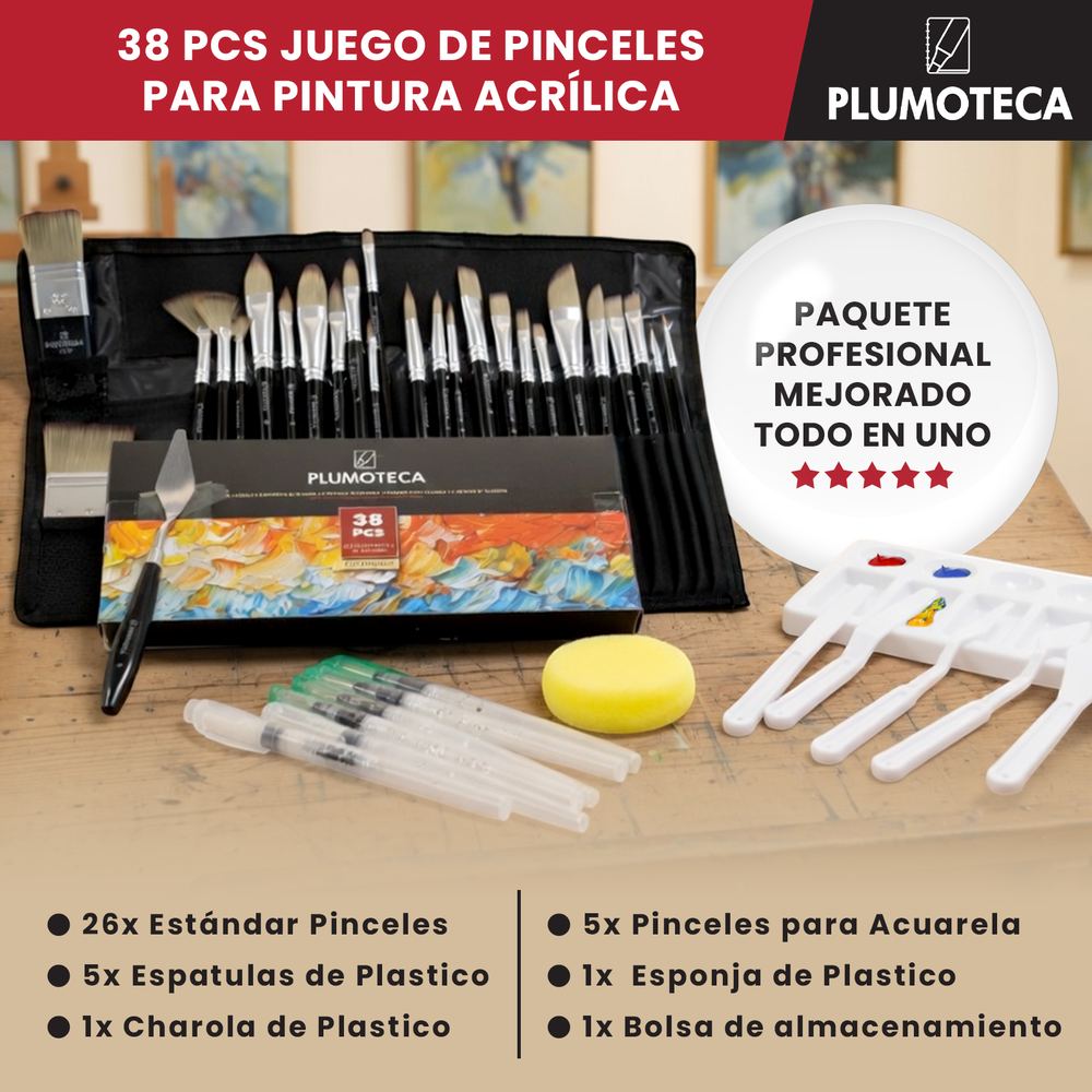 Set de pinceles profesionales foto 2